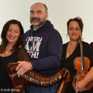 Fünf Musiker der Gruppe Irish Wings mit ihren Instrumenten